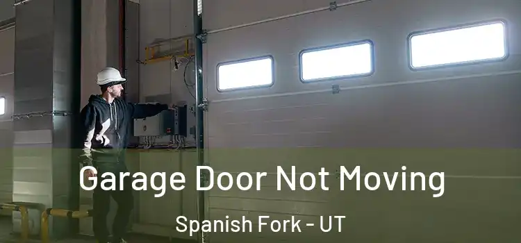  Garage Door Not Moving Spanish Fork - UT