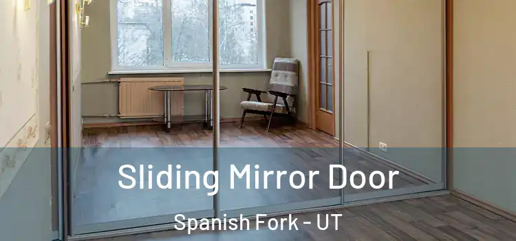  Sliding Mirror Door Spanish Fork - UT